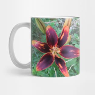 Dramatic Lilly Mug